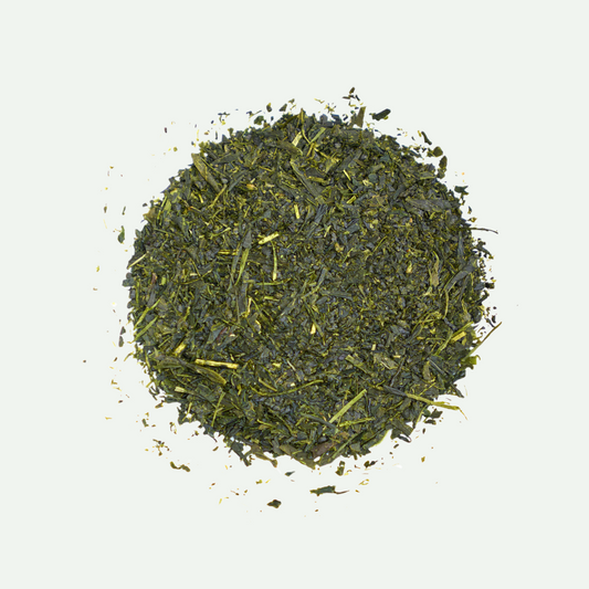 Fukamushi Kakegawa Sencha - Premium Japanese Green Tea from Shizuoka