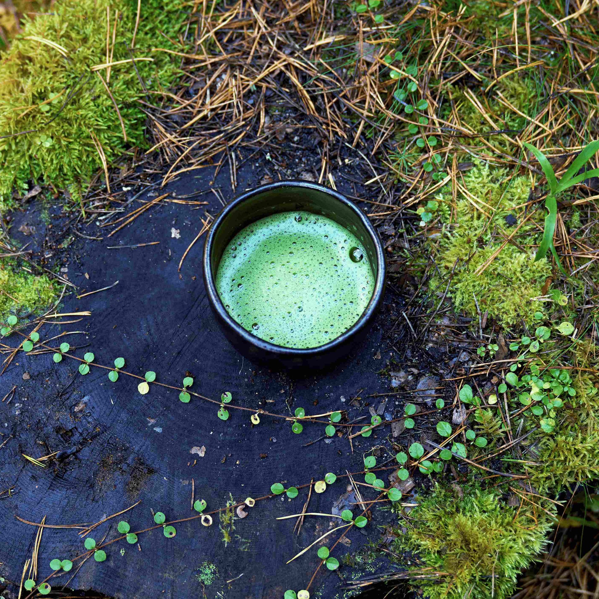 Matcha tee kauss. Erkroheline matcha tee Eesti looduses.