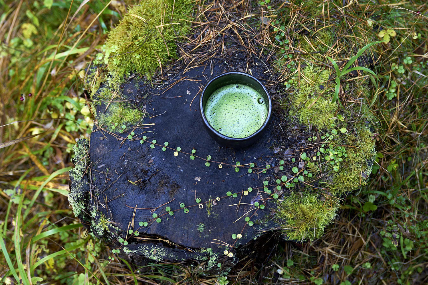 Jaapani premium matcha