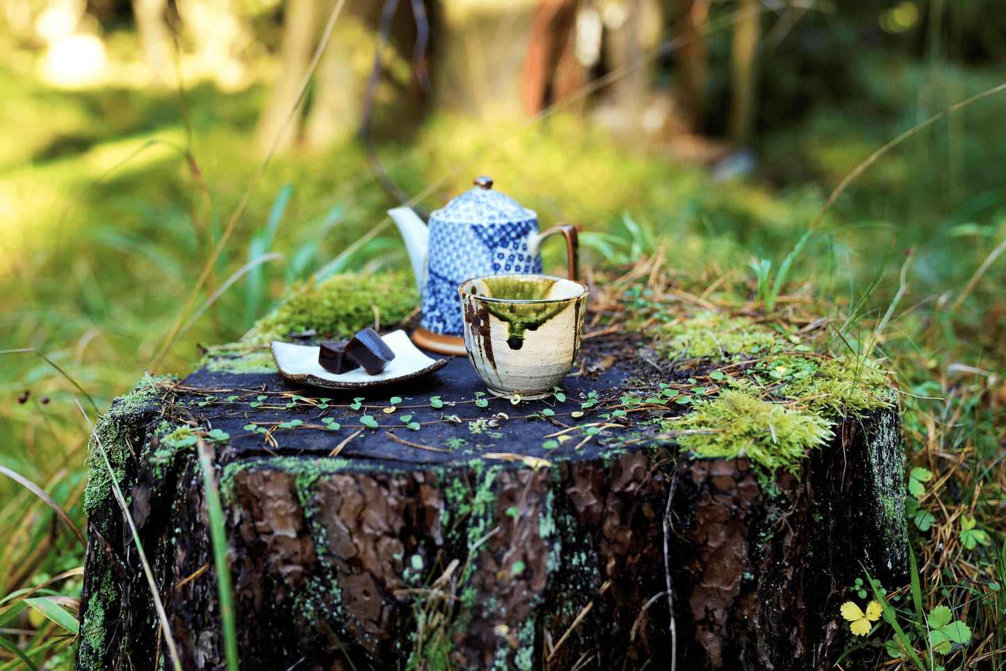 Hatsutsumi sencha - roheline tee kevade esimestest pungadest