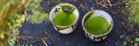 Why Green Tea is the Best Beverage for Your Health