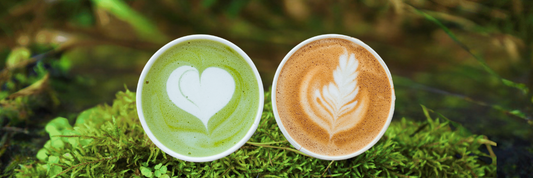 Matcha vs Coffee: Which One Is Better for Your Brain and Focus?