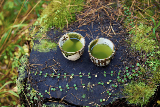 Kaks tassi jaapani rohelist sencha teed Eesti metsas kännu otsas.