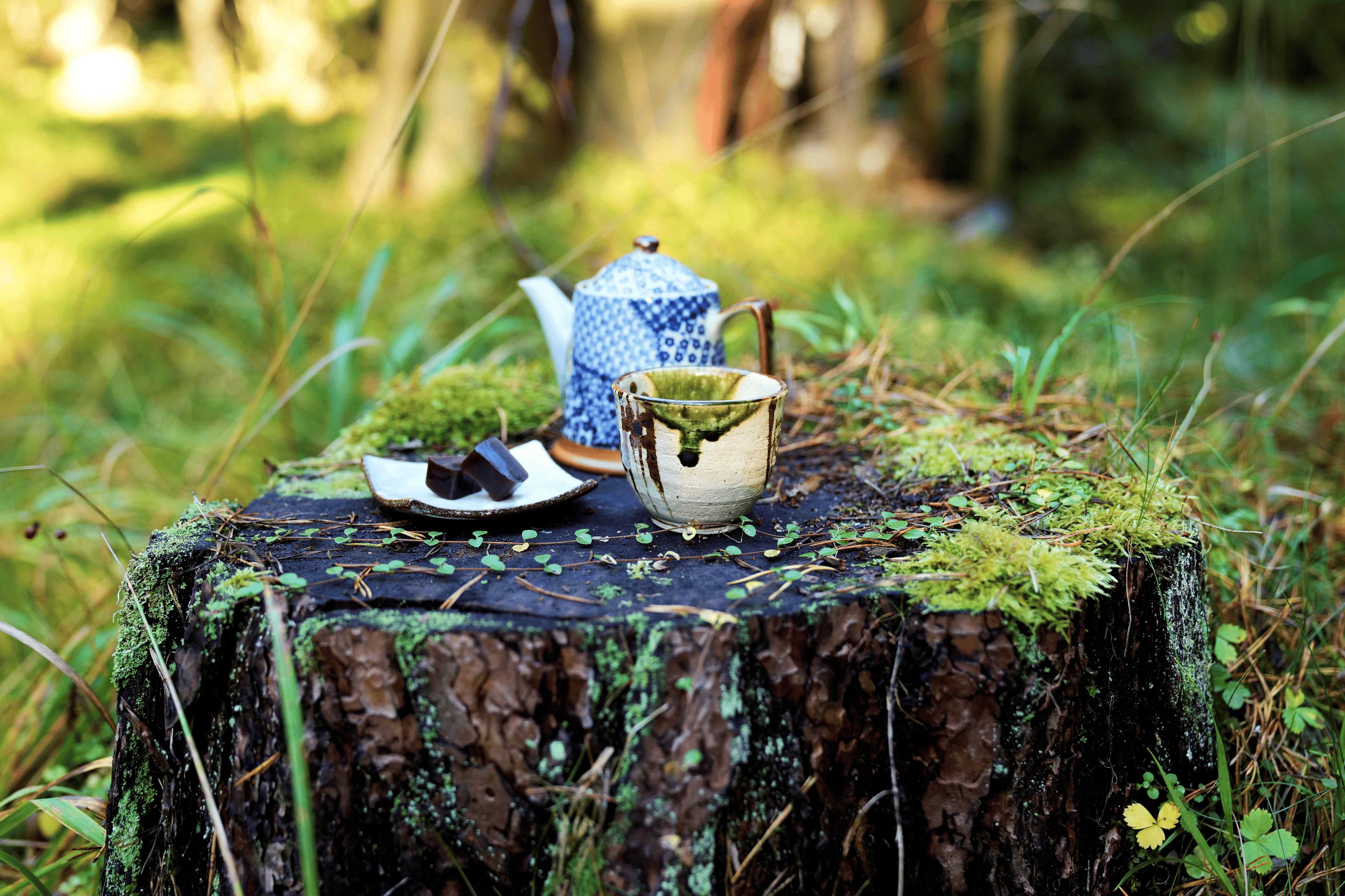 Yame Premium Roasted Sencha Blend – Tea Master's Select – Rise&Zen